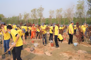 Public welfare tree planting activities